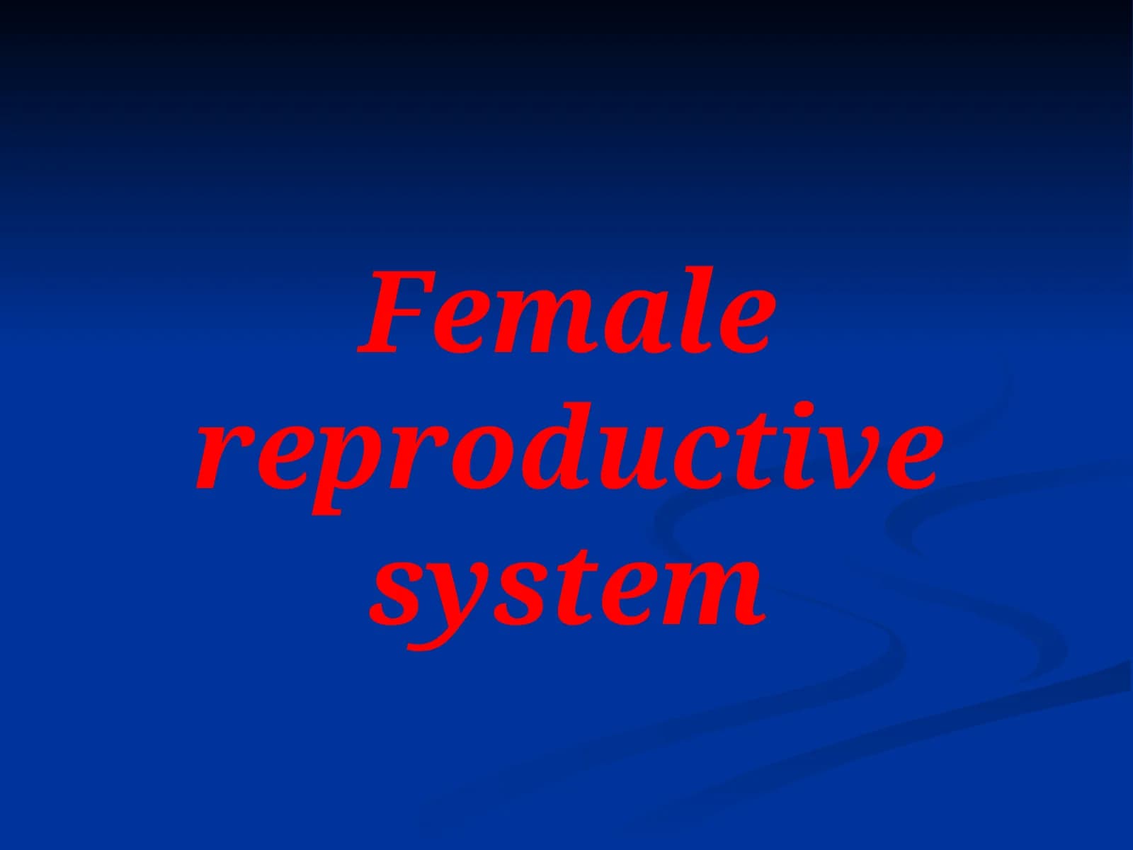 Female reproductive system