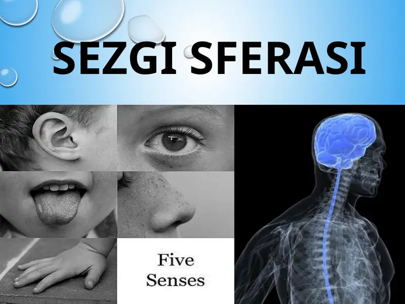 SEZGI SFERASI