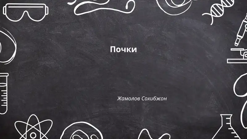 Почки