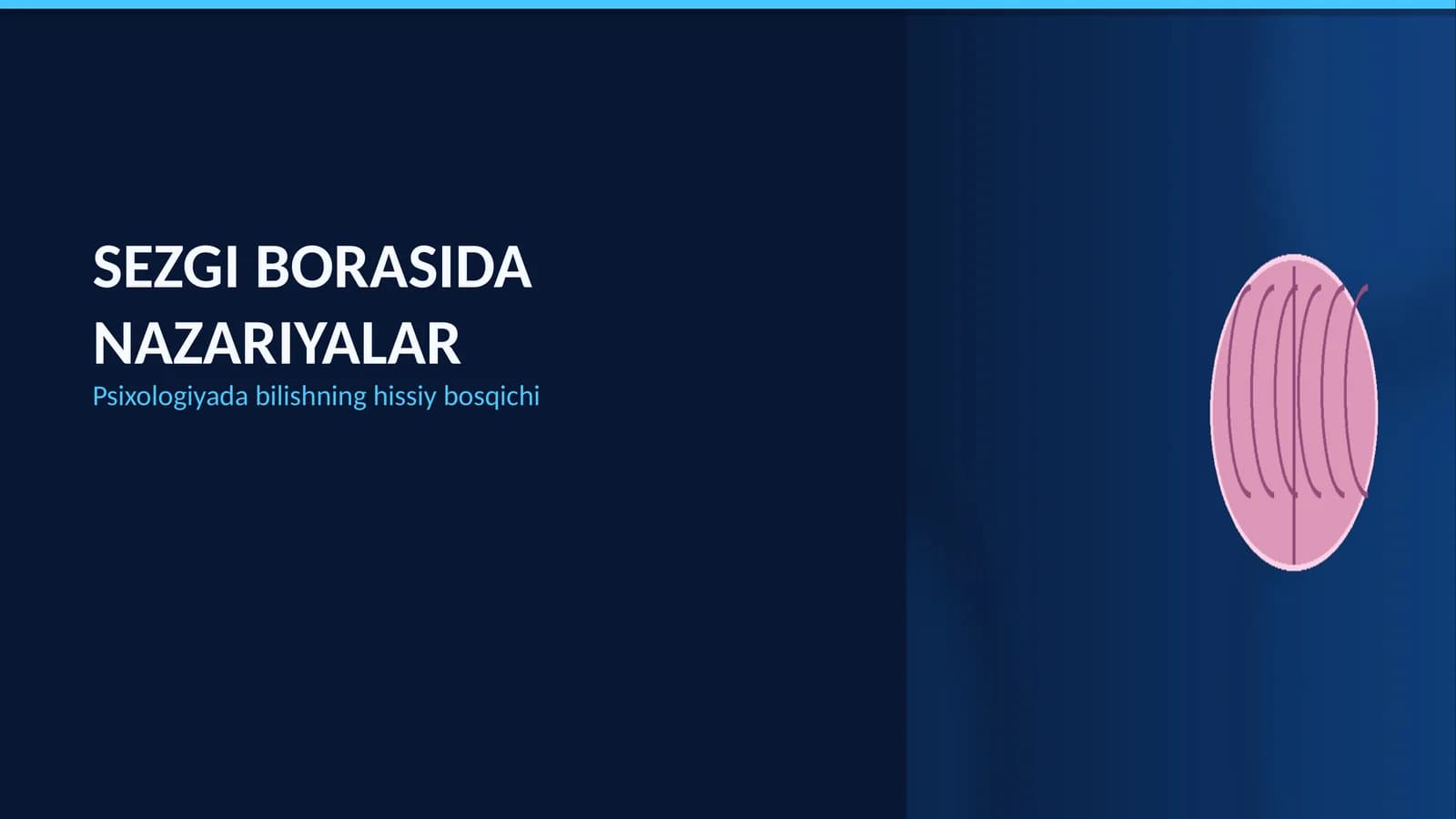 Sezgi borasida nazariyalar