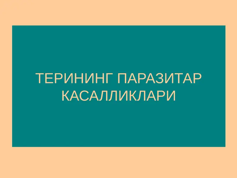 Терининг паразитар касалликлари
