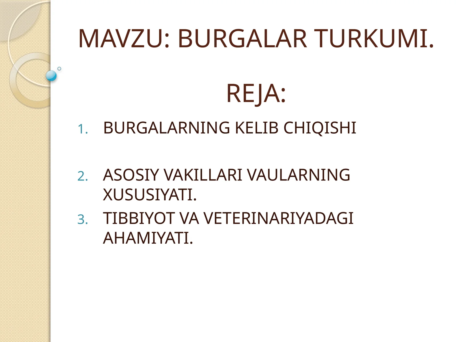 BURGALAR TURKUMI
