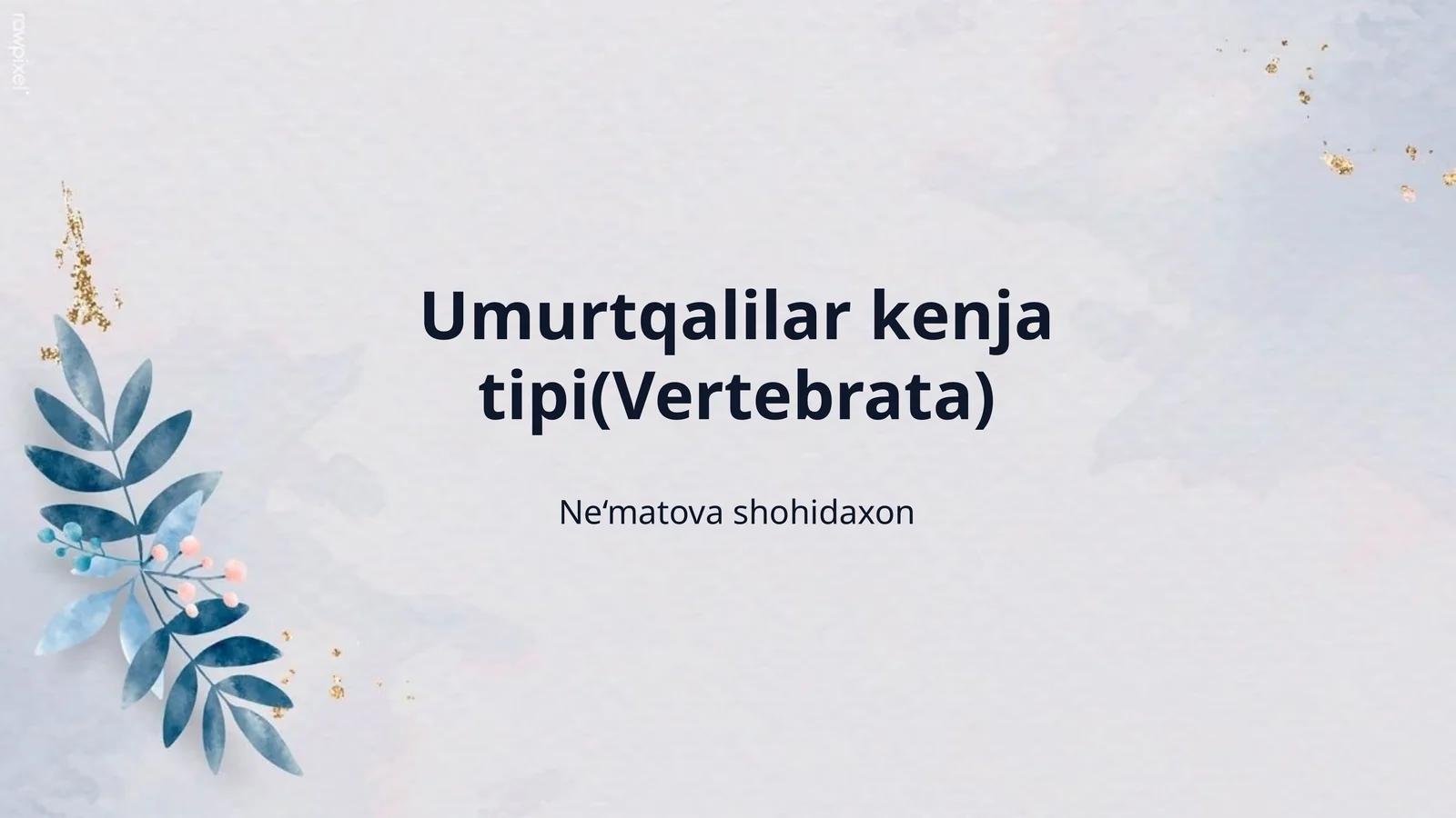 Umurtqalilar kenja tipi(Vertebrata)