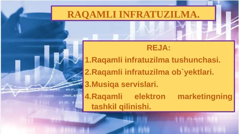 RAQAMLI INFRATUZILMA