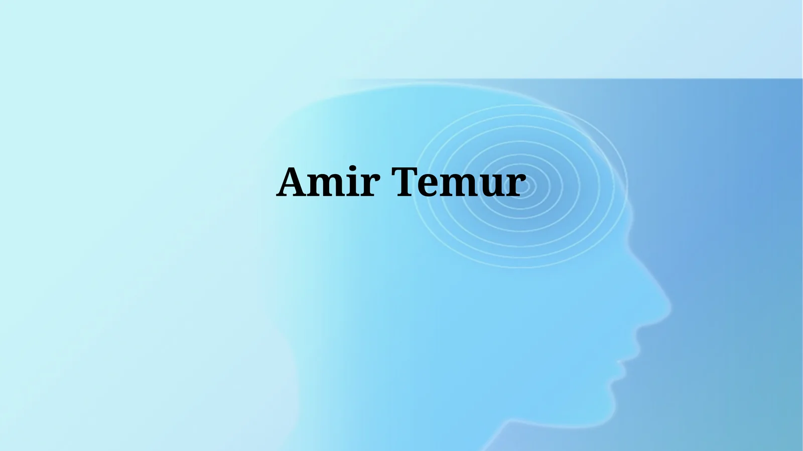 Amir Temur