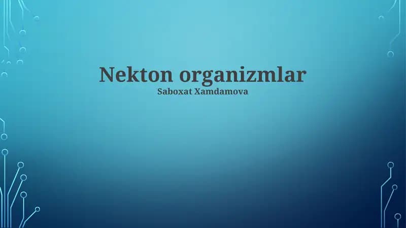 Nekton organizmlar