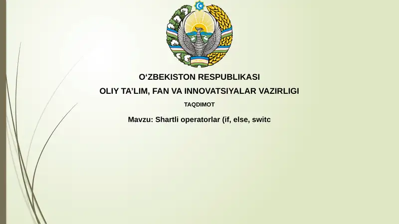 Shartli operatorlar (if, else, switch)
