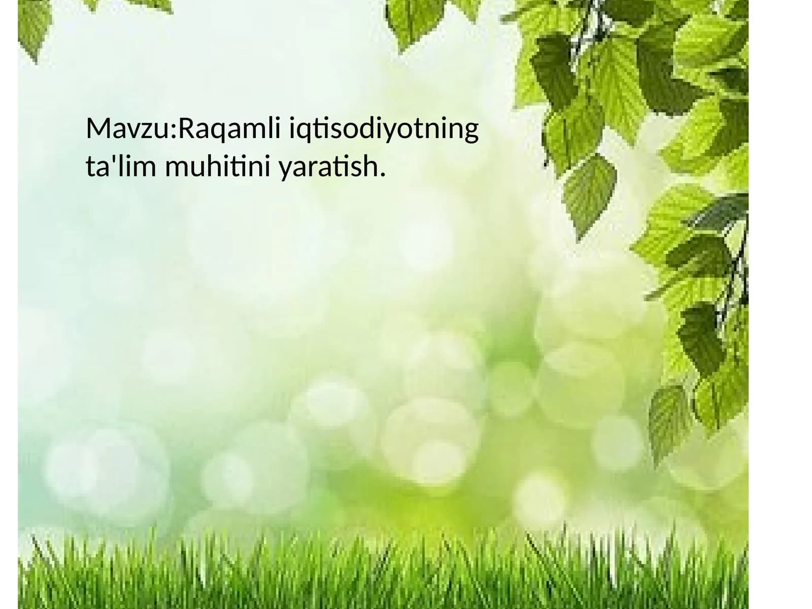 Raqamli iqtisodiyotning ta'lim muhitini yaratish