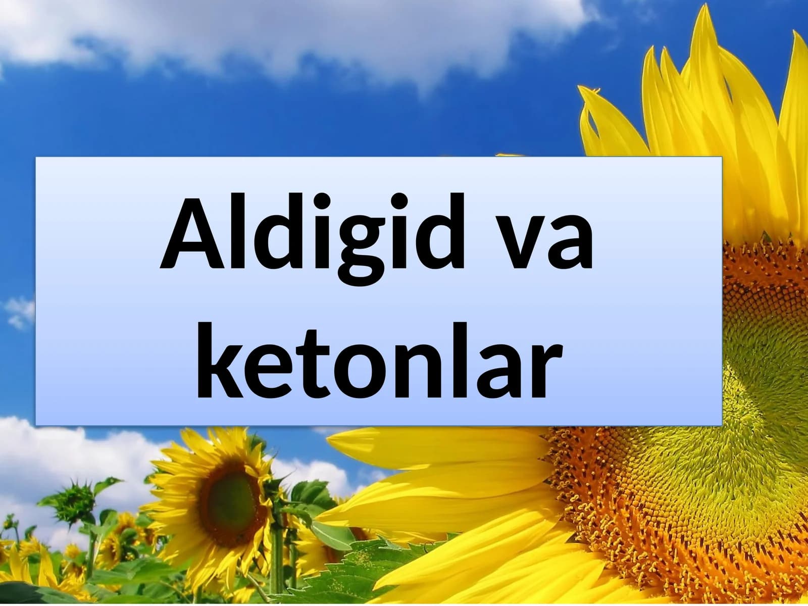 Aldigid va ketonlar
