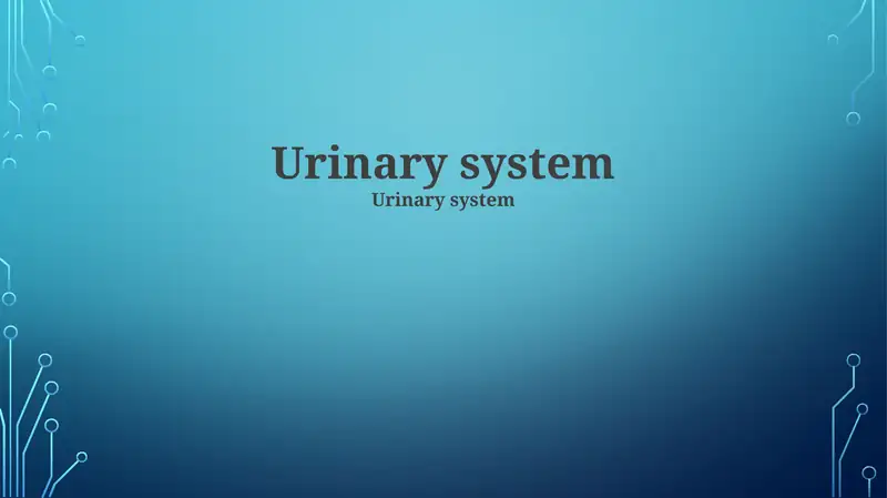 Urinary system