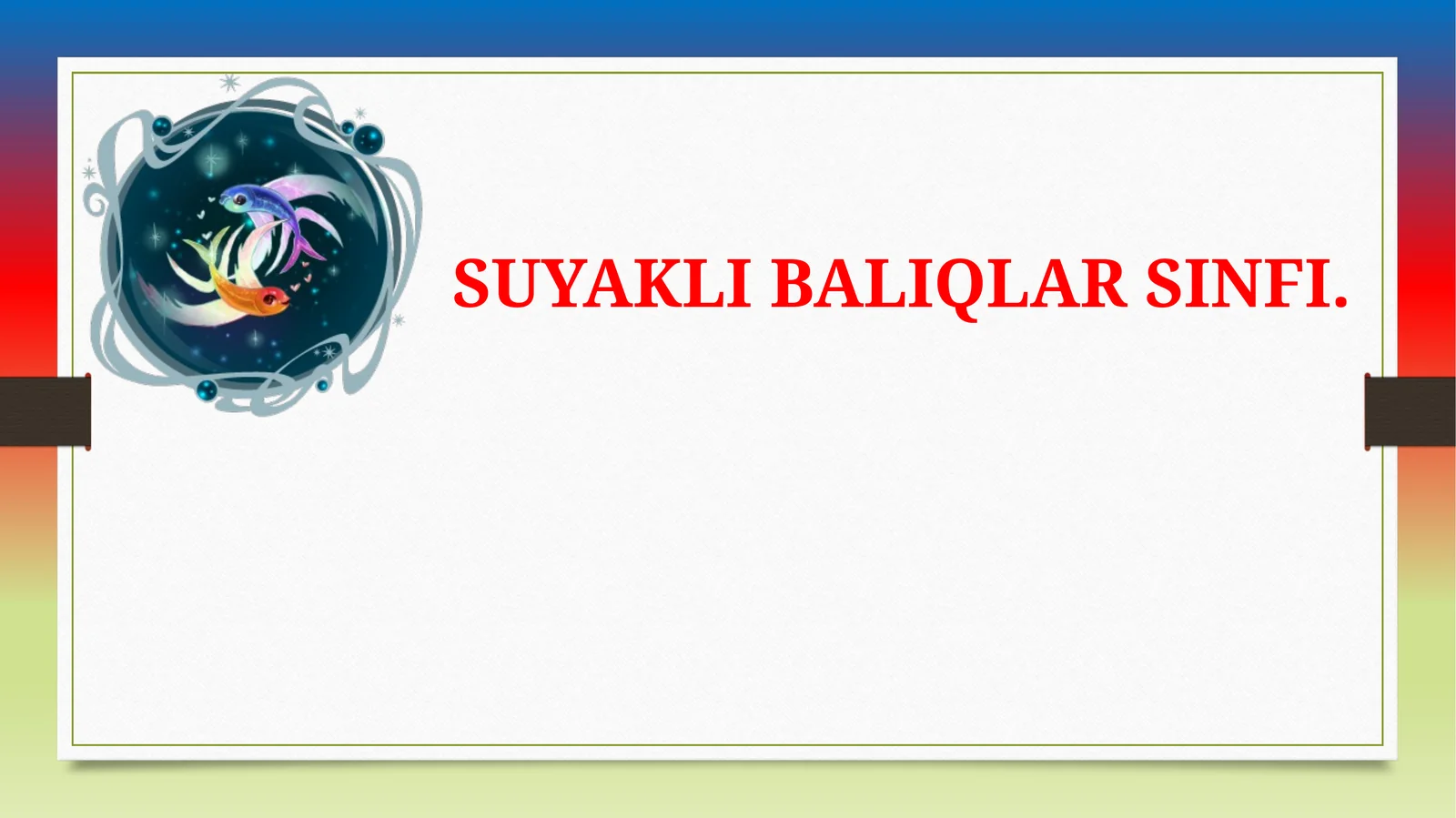 Tog’ayli baliqlar sinfi