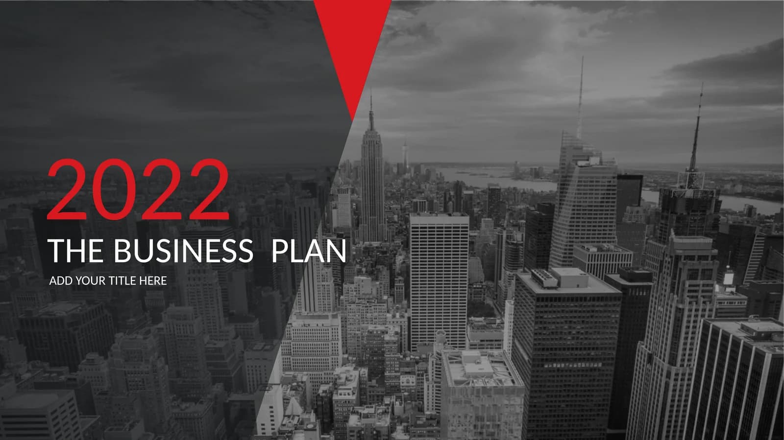 THE BUSINESS PLAN