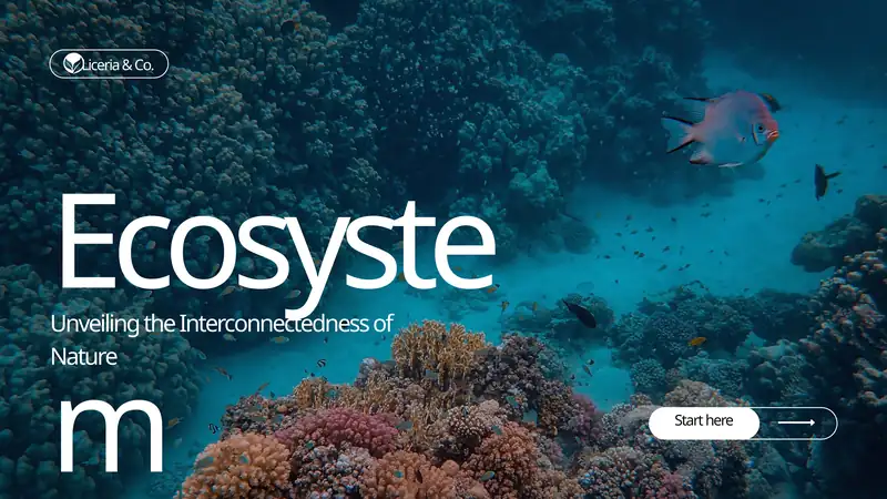 What Is Ecosystem?