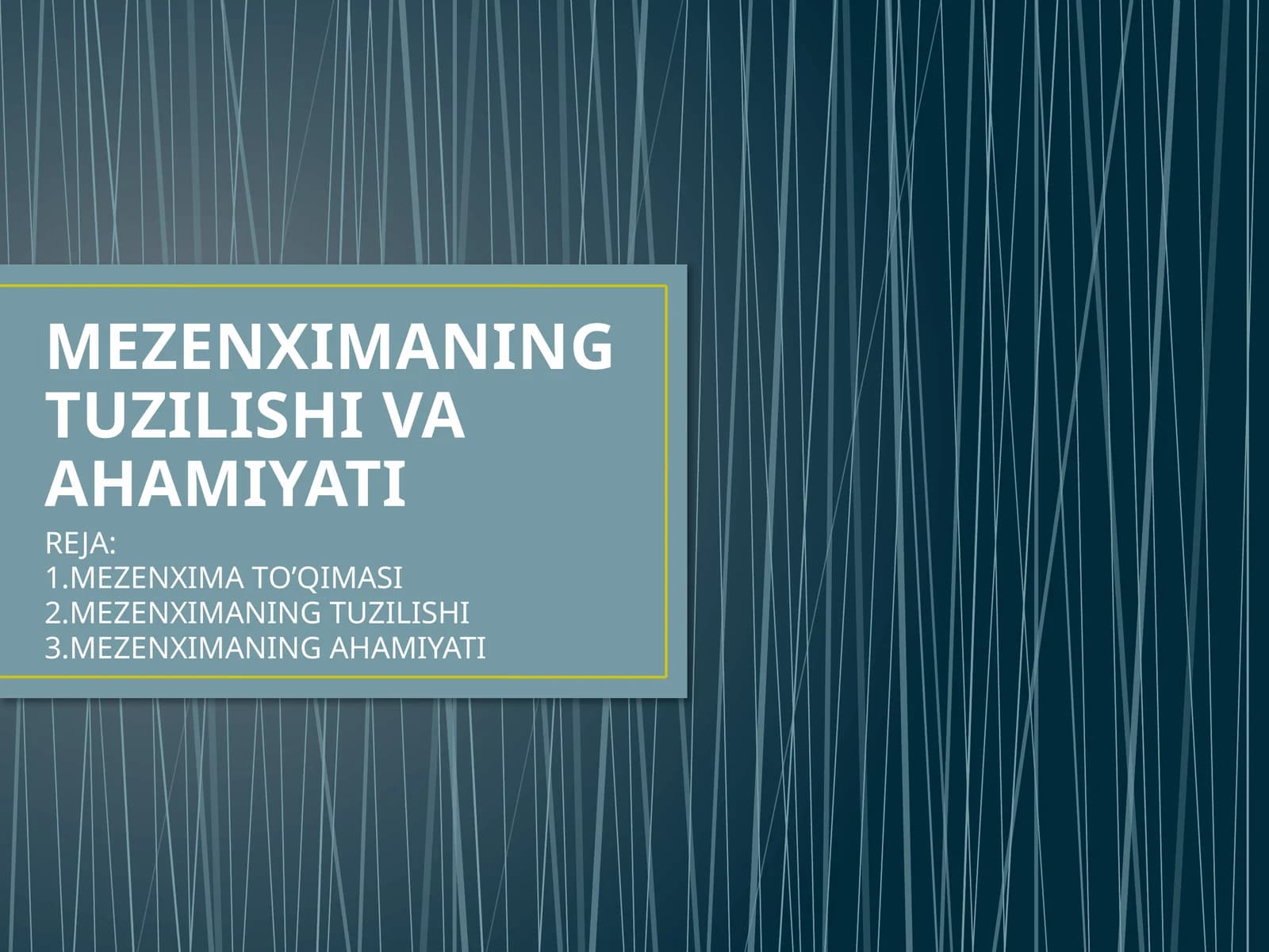 MEZENXIMANING TUZILISHI VA AHAMIYATI
