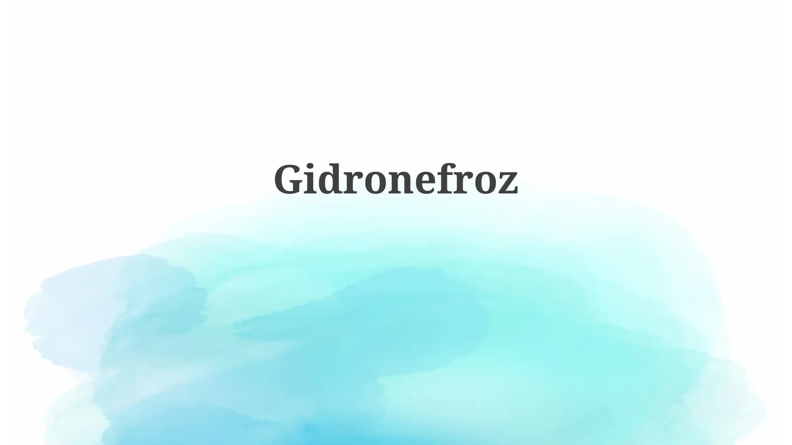 Gidronefroz