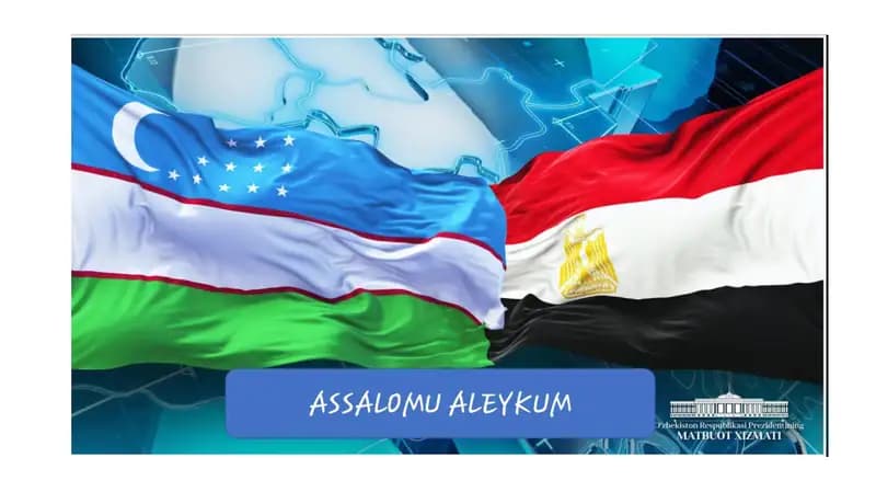 XVI - XX asrlarda Misr