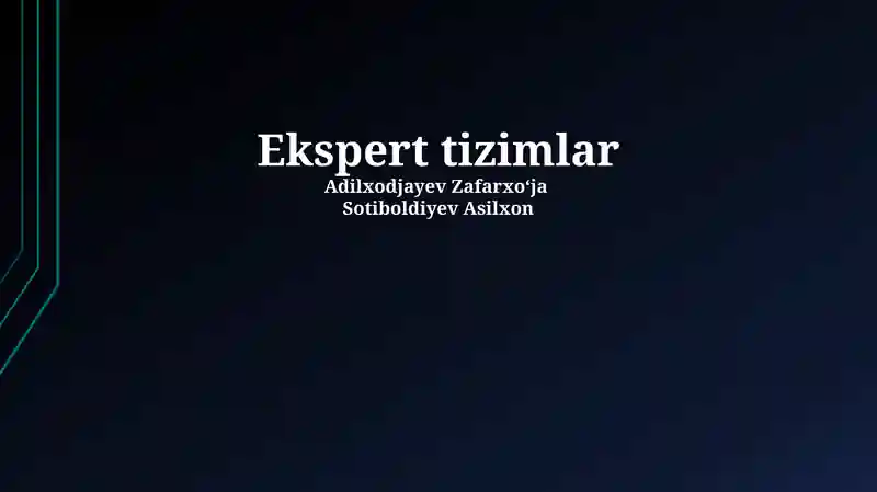 Ekspert tizimlar