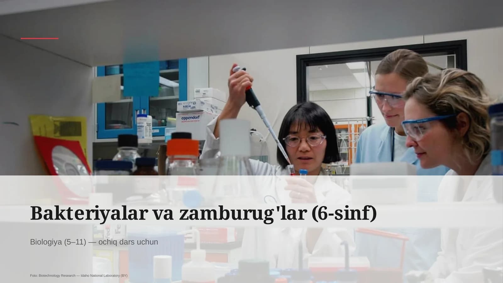 Bakteriyalar va zamburug'lar (6-sinf)