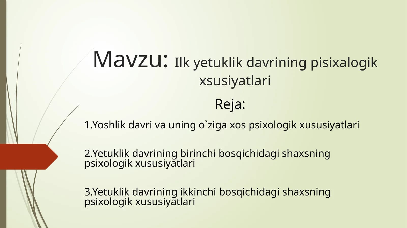 Ilk  yetuklik davrining  pisixalogik  xsusiyatlari