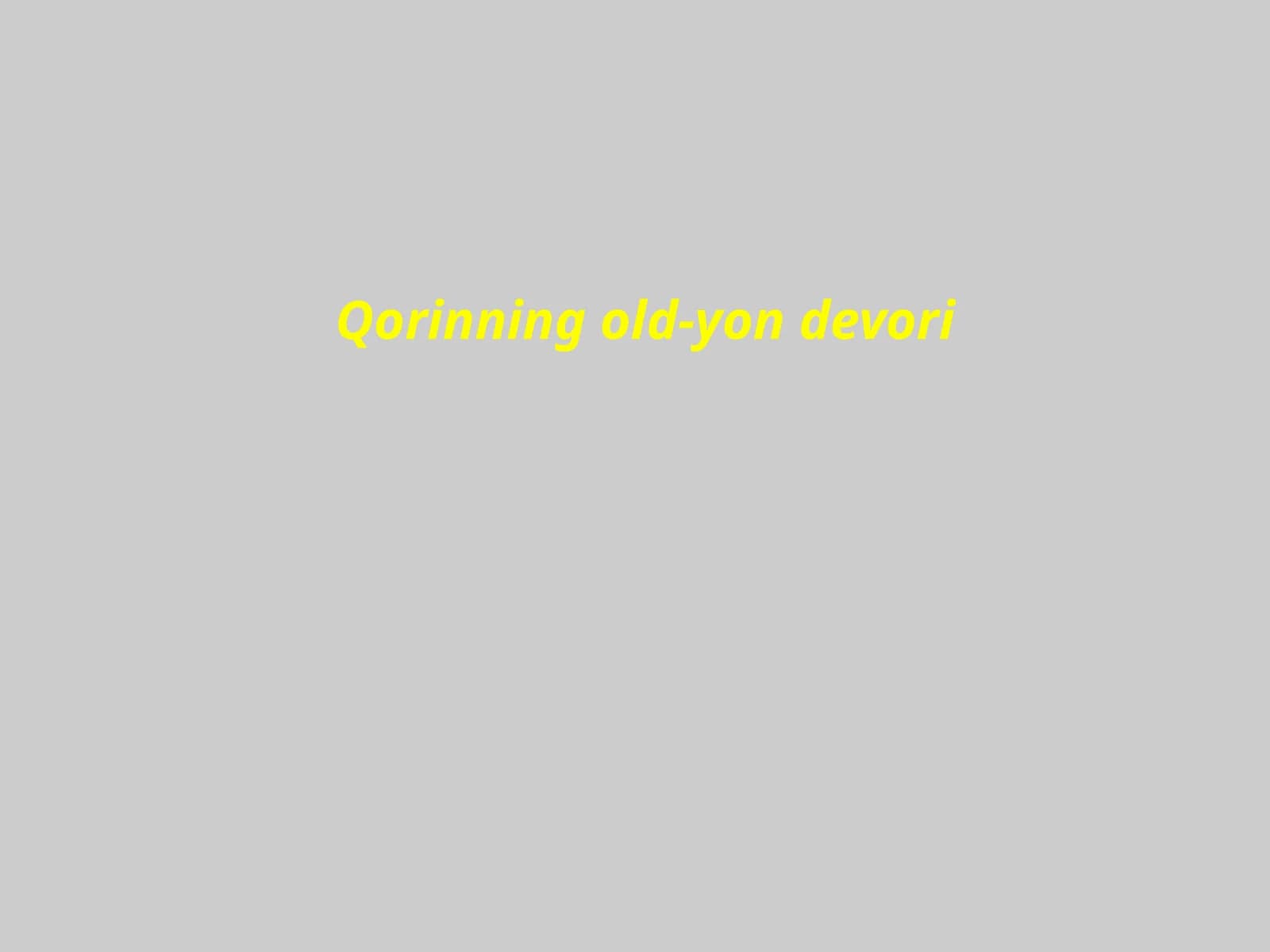 Qorinning old-yon devori
