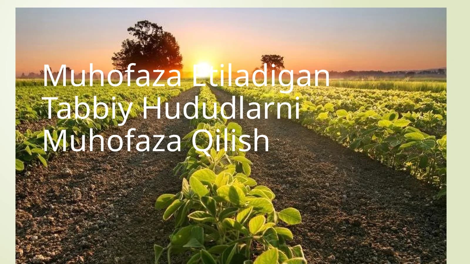 MuhofazaEtiladiganTabbiyHududlarniMuhofazaQilish