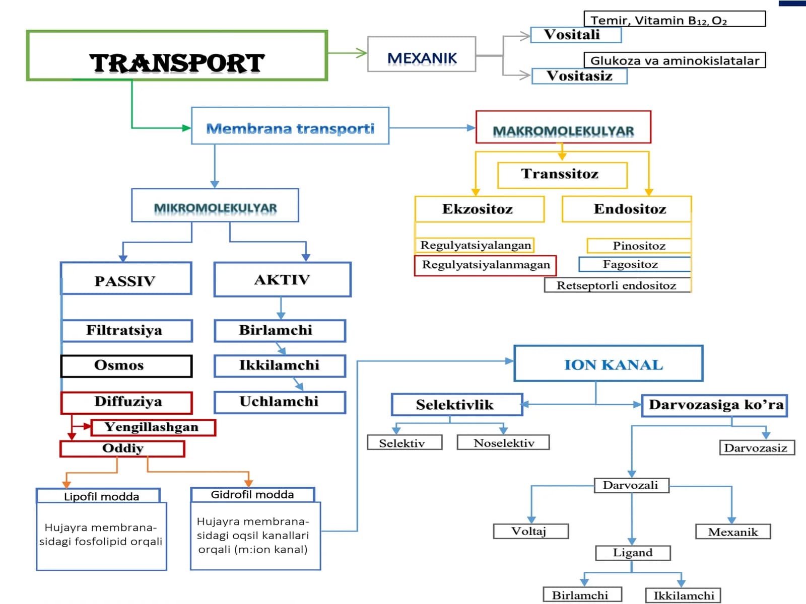 Aktivtransport-moddalargradienti