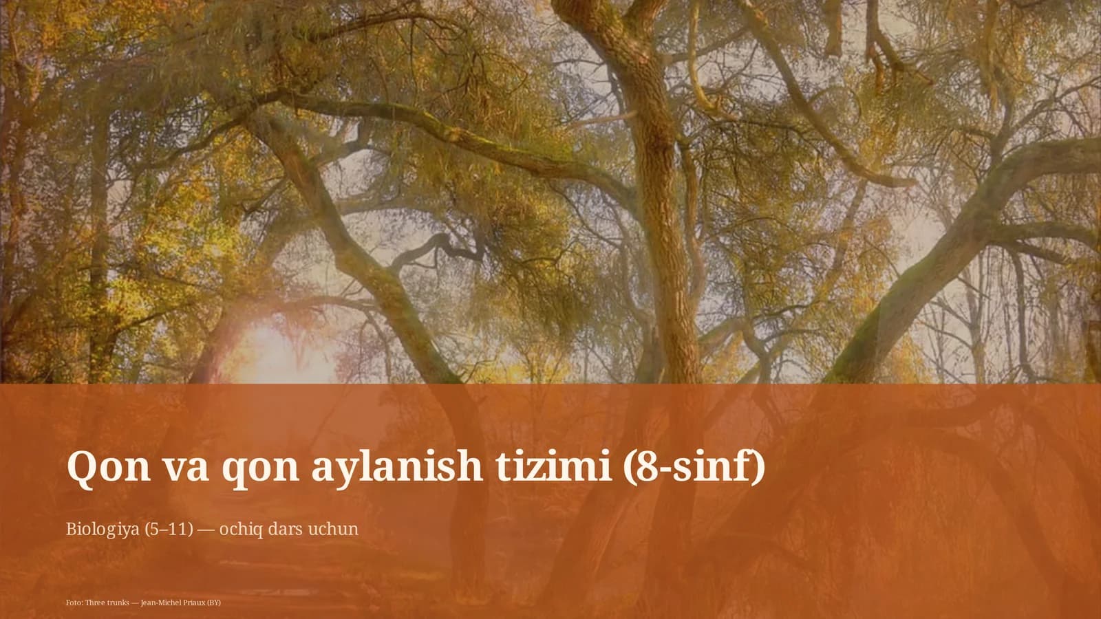 Qon va qon aylanish tizimi (8-sinf)