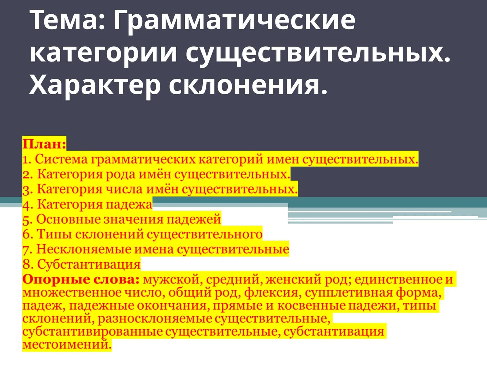Грамматические категории существительных