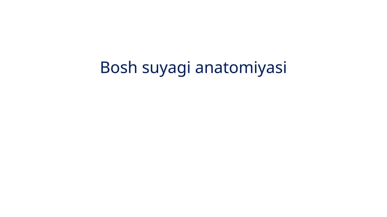 Boshsuyagianatomiyasi