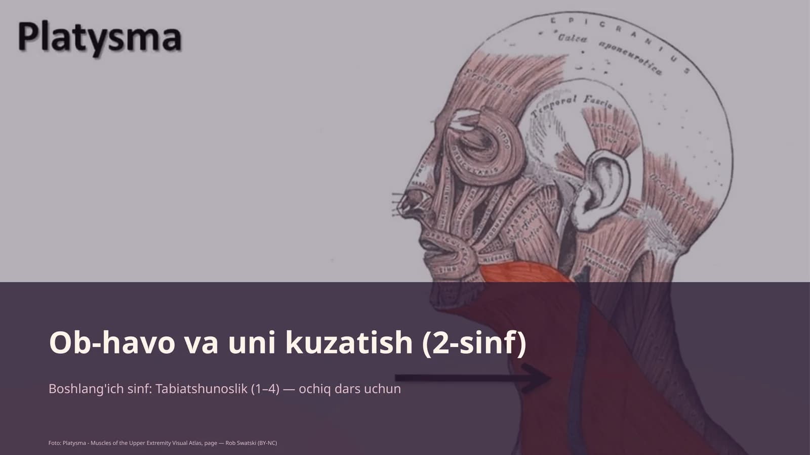 Ob-havo va uni kuzatish (2-sinf)