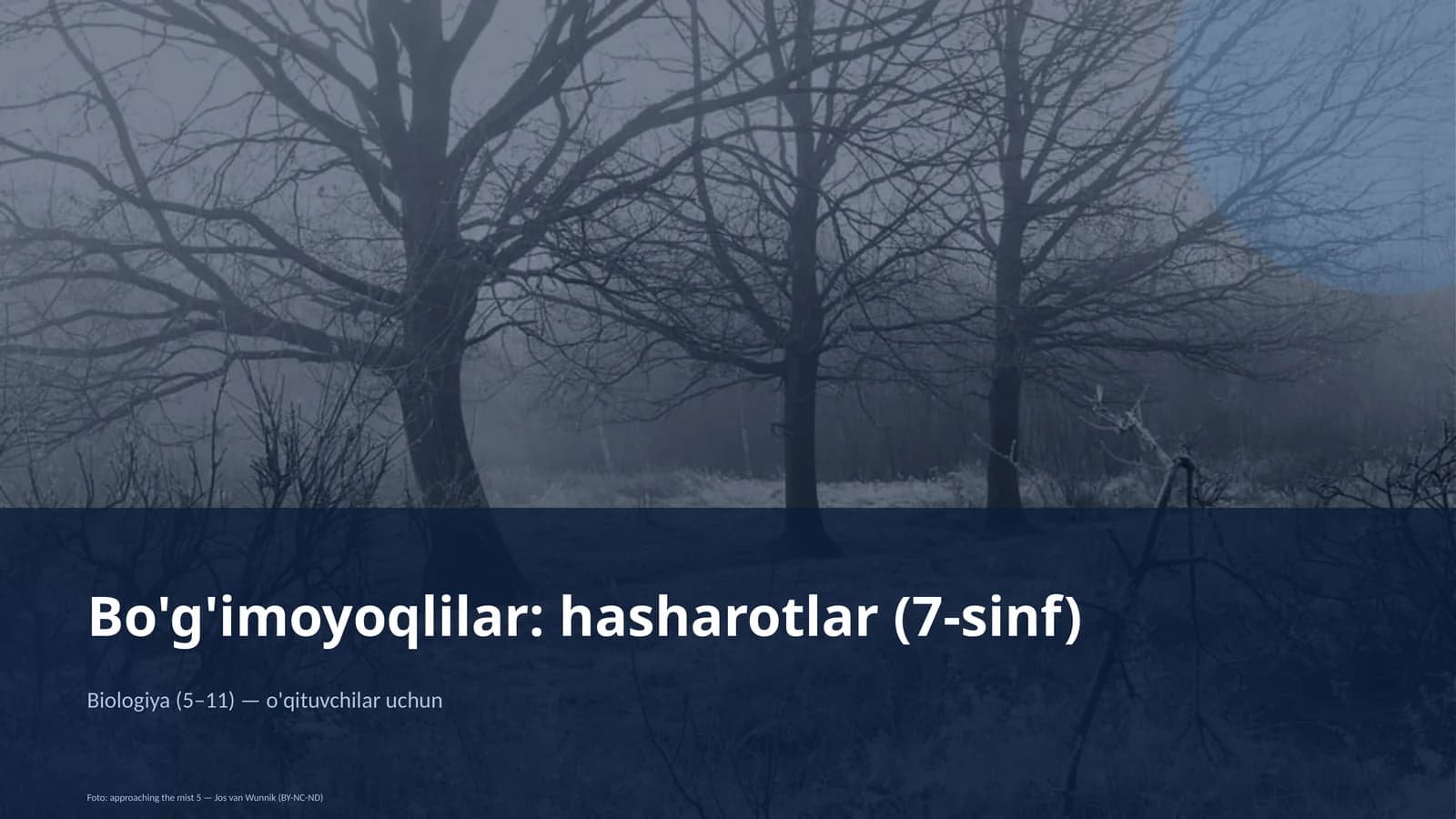 Bo'g'imoyoqlilar: hasharotlar (7-sinf)