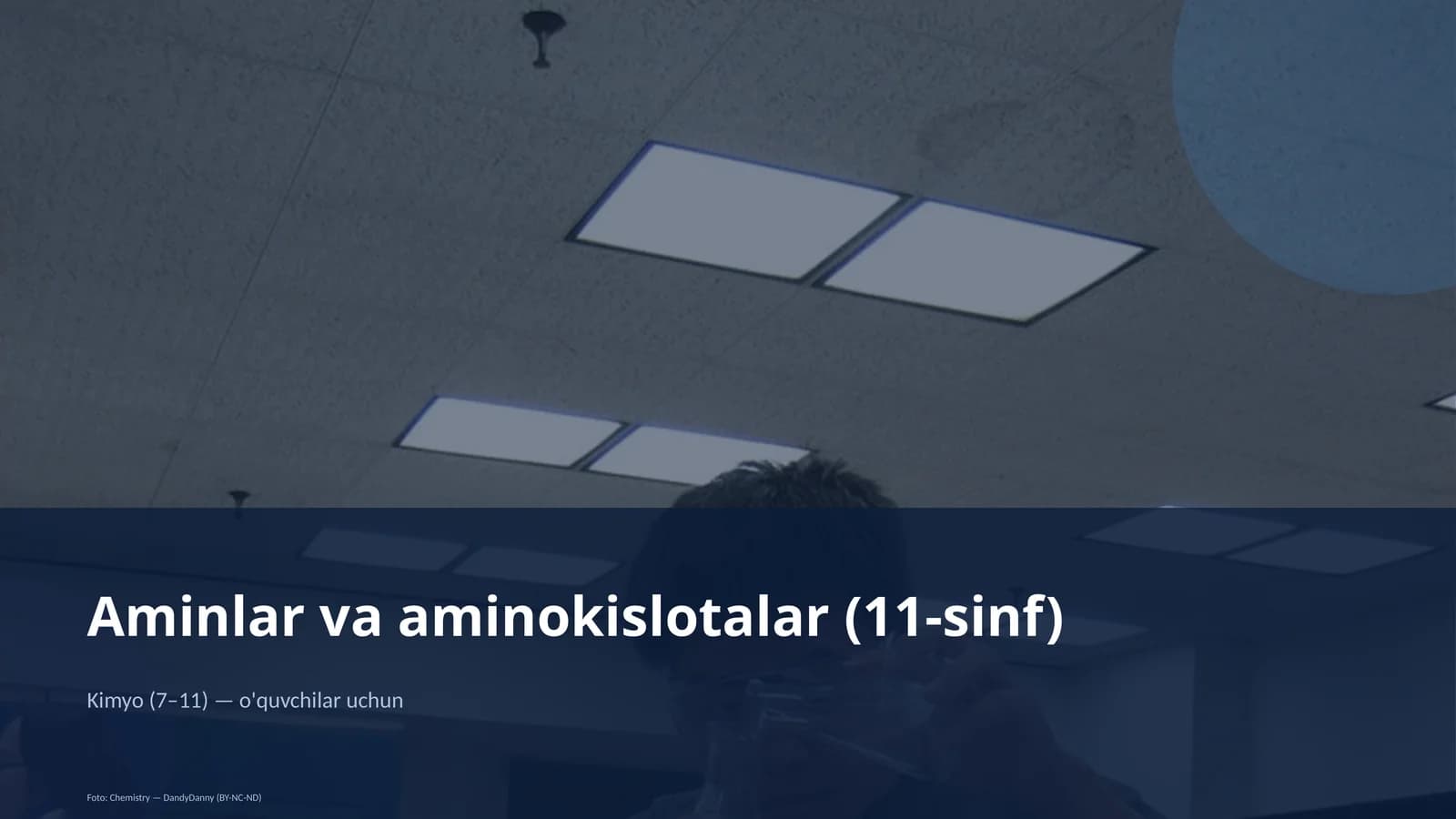 Aminlar va aminokislotalar (11-sinf)