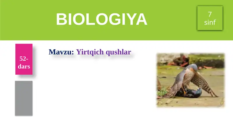 Yirtqichqushlar