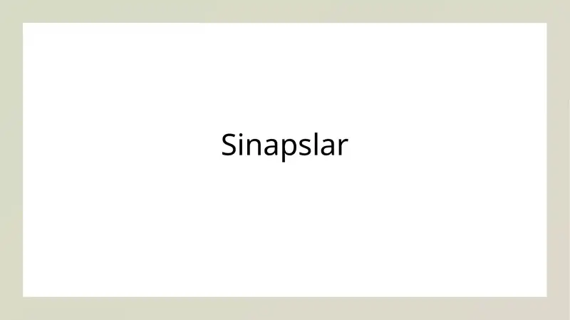 Sinapslar