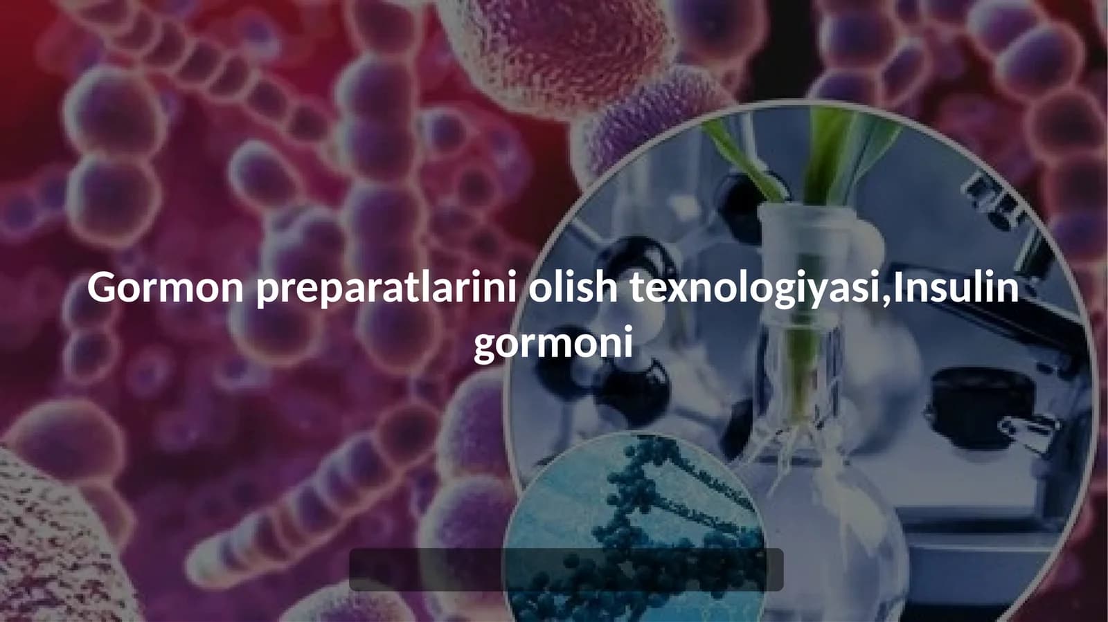 Insulin gormoni