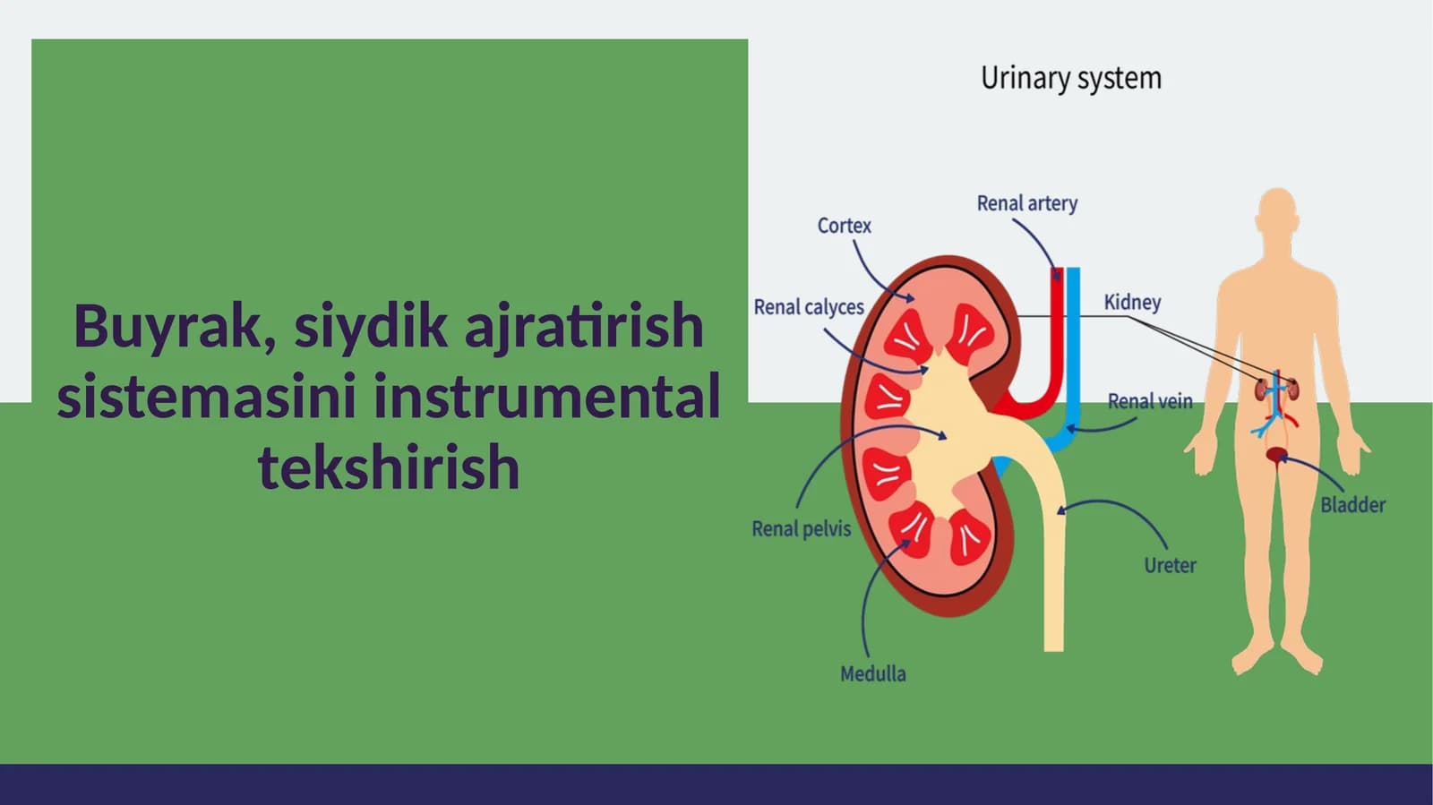 Instrumental tekshirish turlari