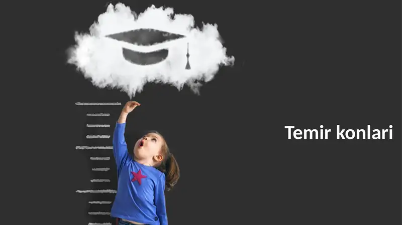Temirkonlari