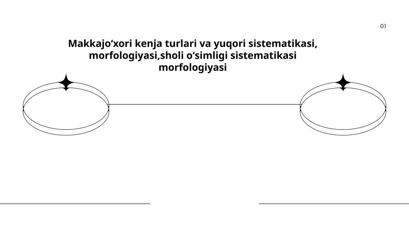 Makkajoʻxori kenja turlari va yuqori sistematikasi, morfologiyasi,sholi oʻsimligi sistematikasi morfologiyasi