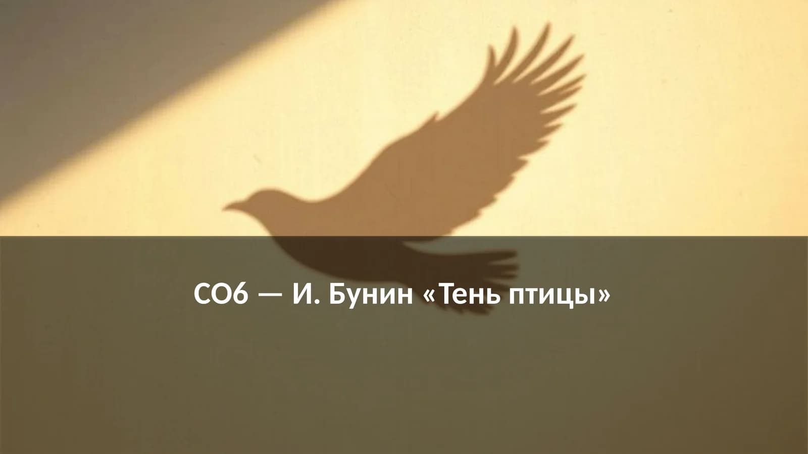 И. Бунин «Тень птицы»