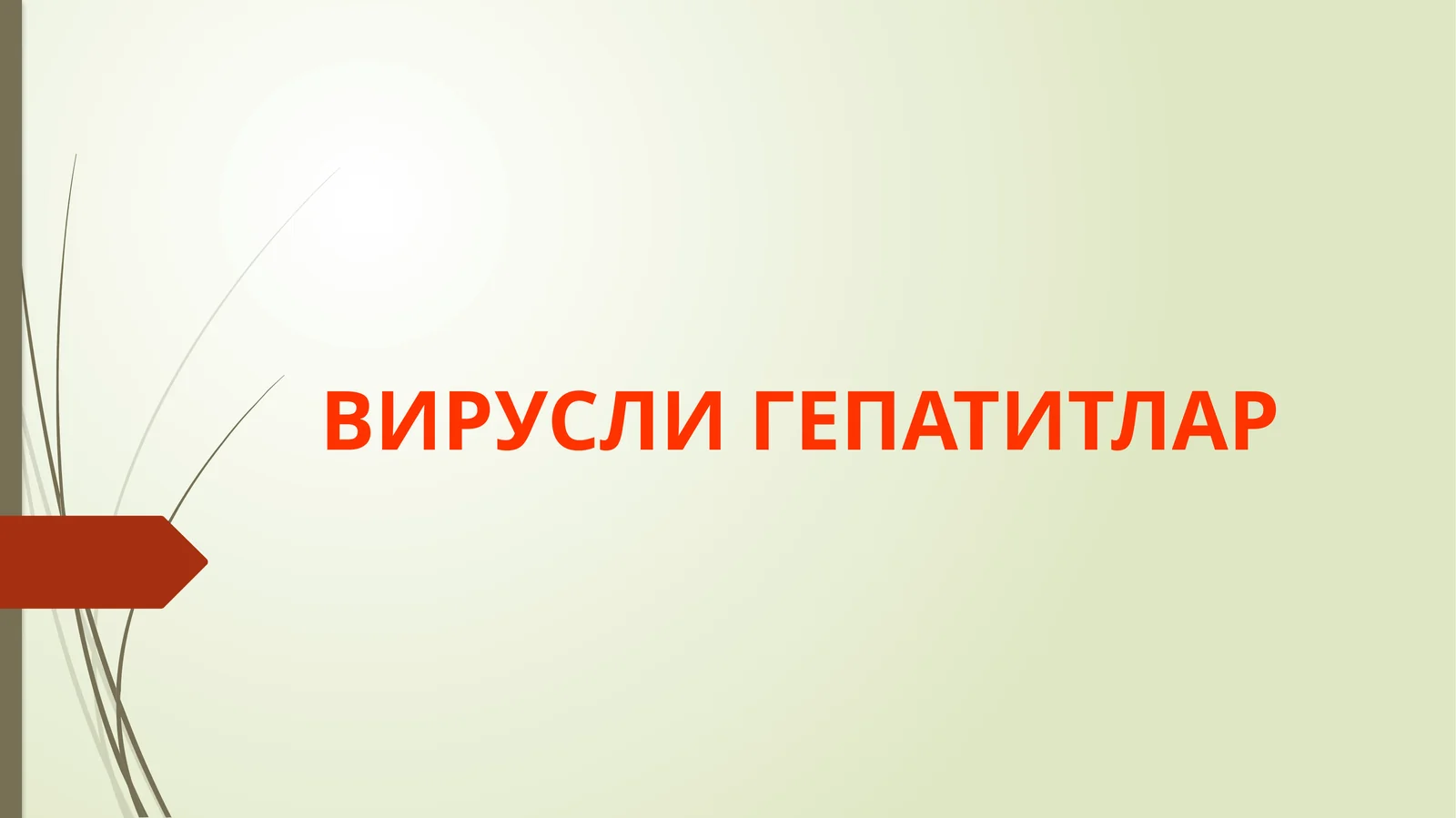 Virusli gepatitlar | A va E gepatit