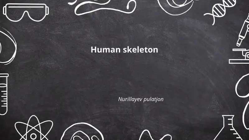 Human skeleton