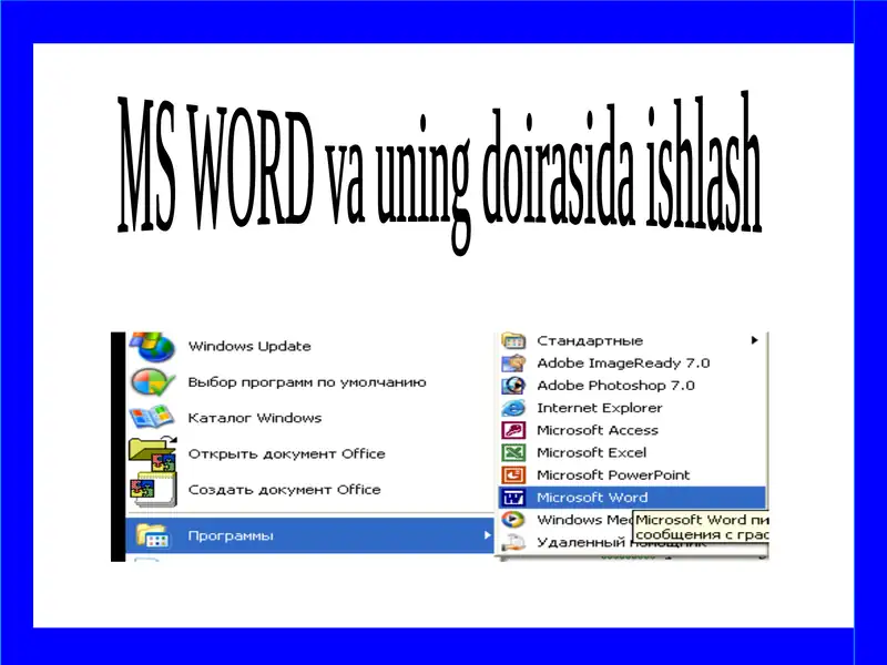 MS WORD