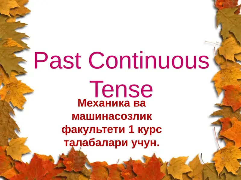 Past Continuous Tense