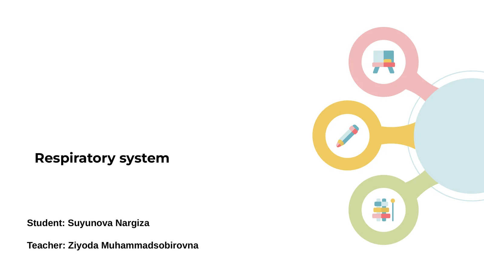 Introduction to the Respiratory System
