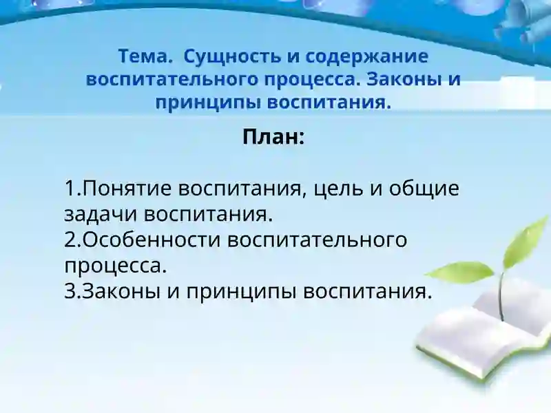 Цели воспитания в педагогике