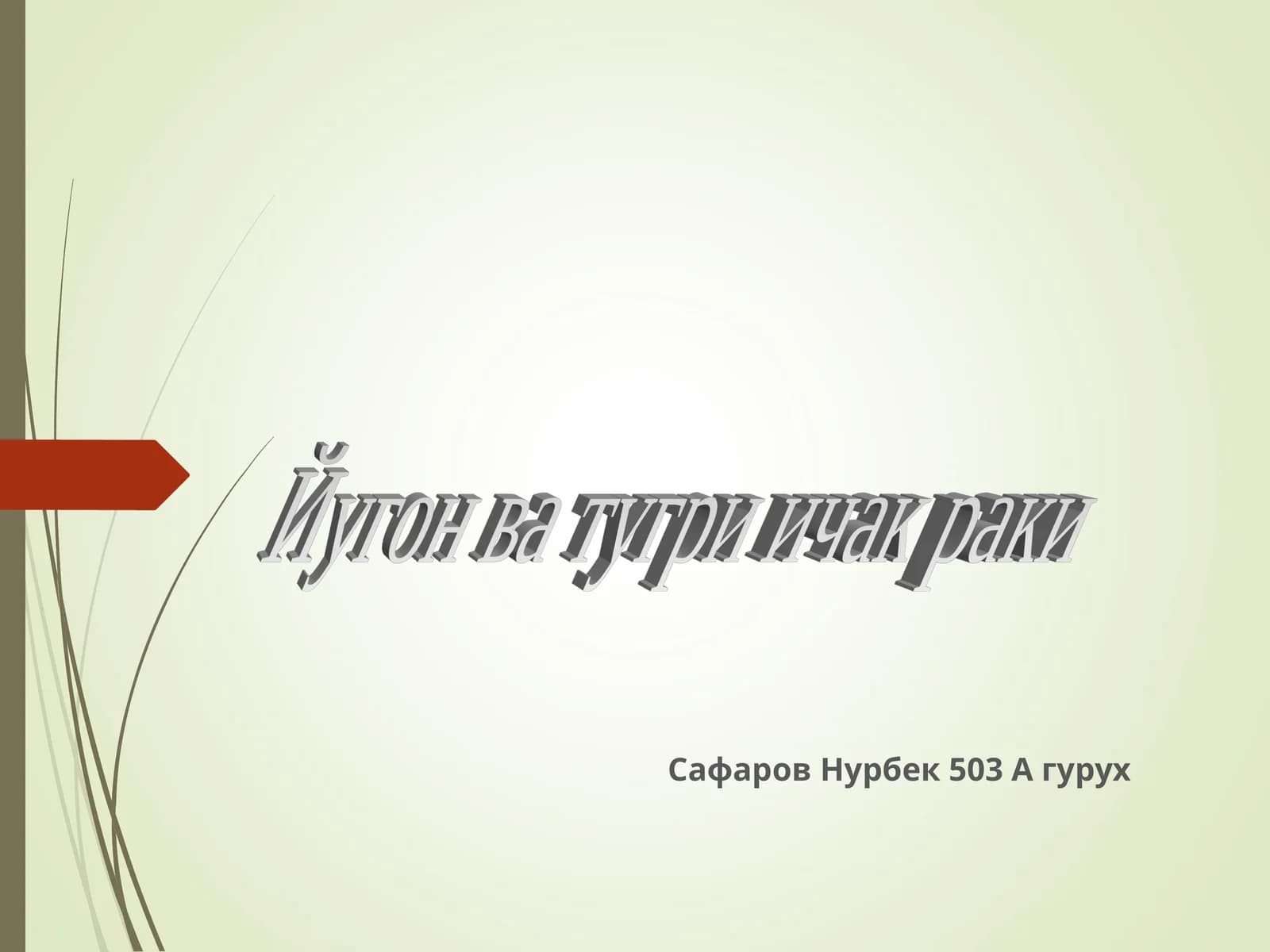 Тўғри ичак анатомияси: