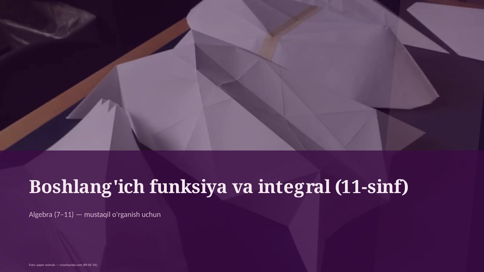 Boshlang'ich funksiya va integral (11-sinf)
