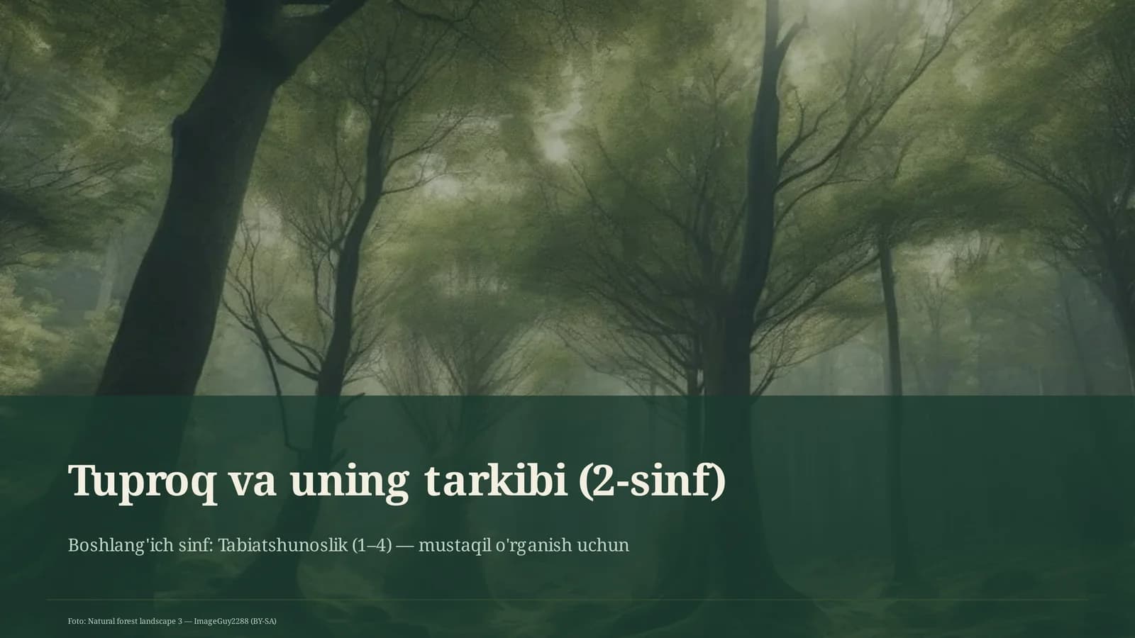 Tuproq va uning tarkibi (2-sinf)