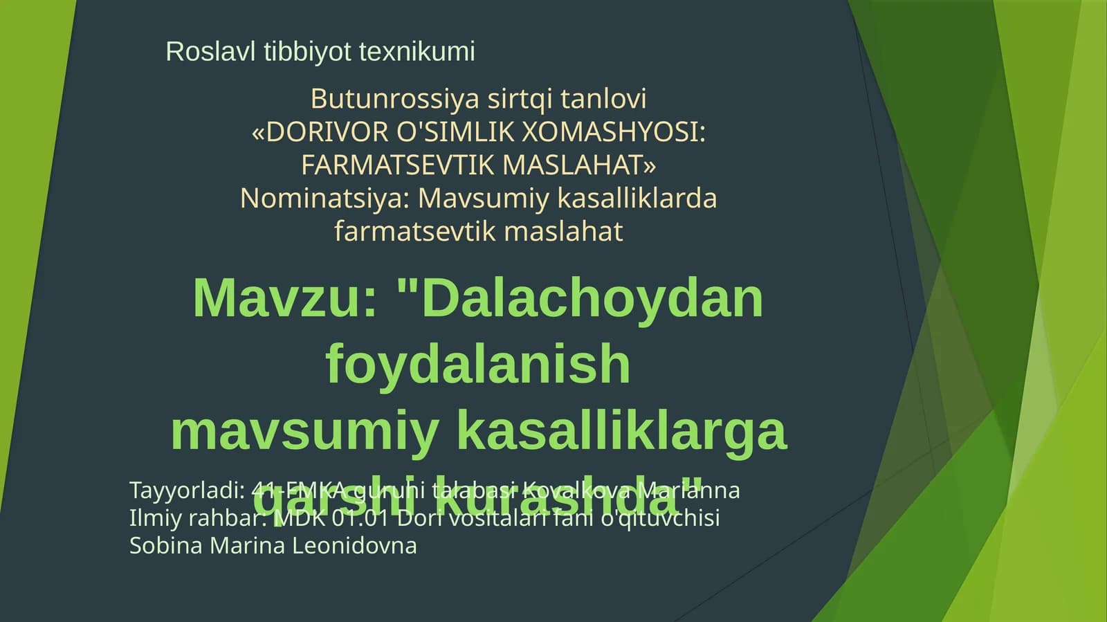 Dala choyi (dalachoy) dorivor o'simligining mavsumiy kasalliklarda qo'llanilishi