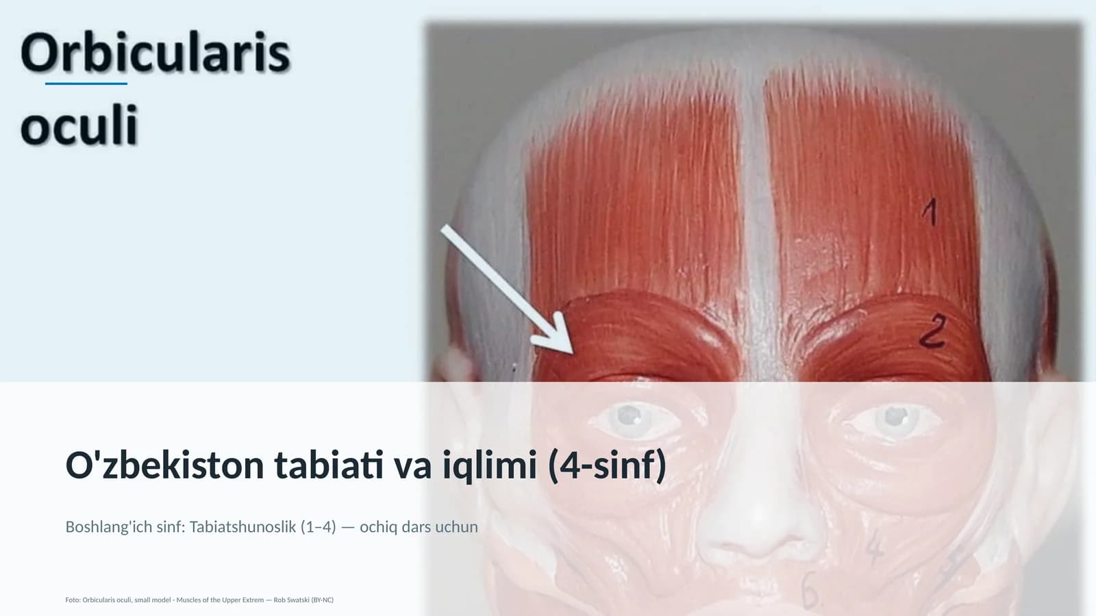 O'zbekiston tabiati va iqlimi (4-sinf)